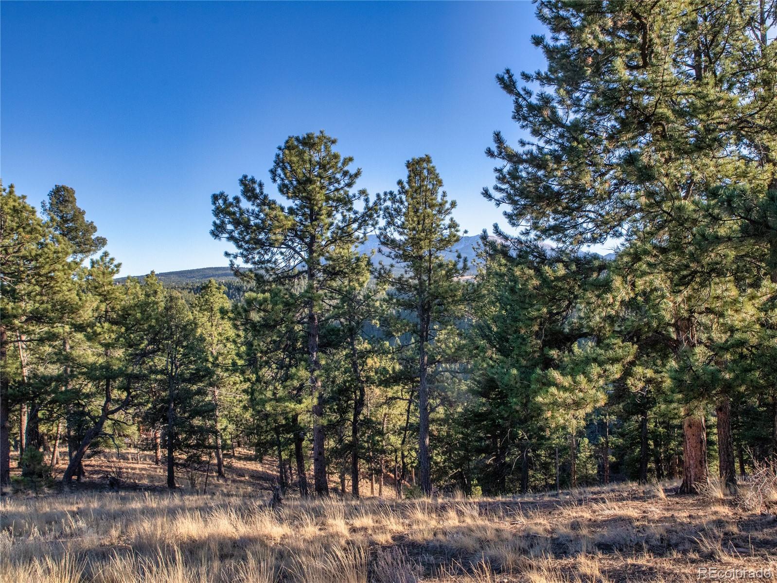 MLS Image #6 for 916  pinecrest road,woodland park, Colorado