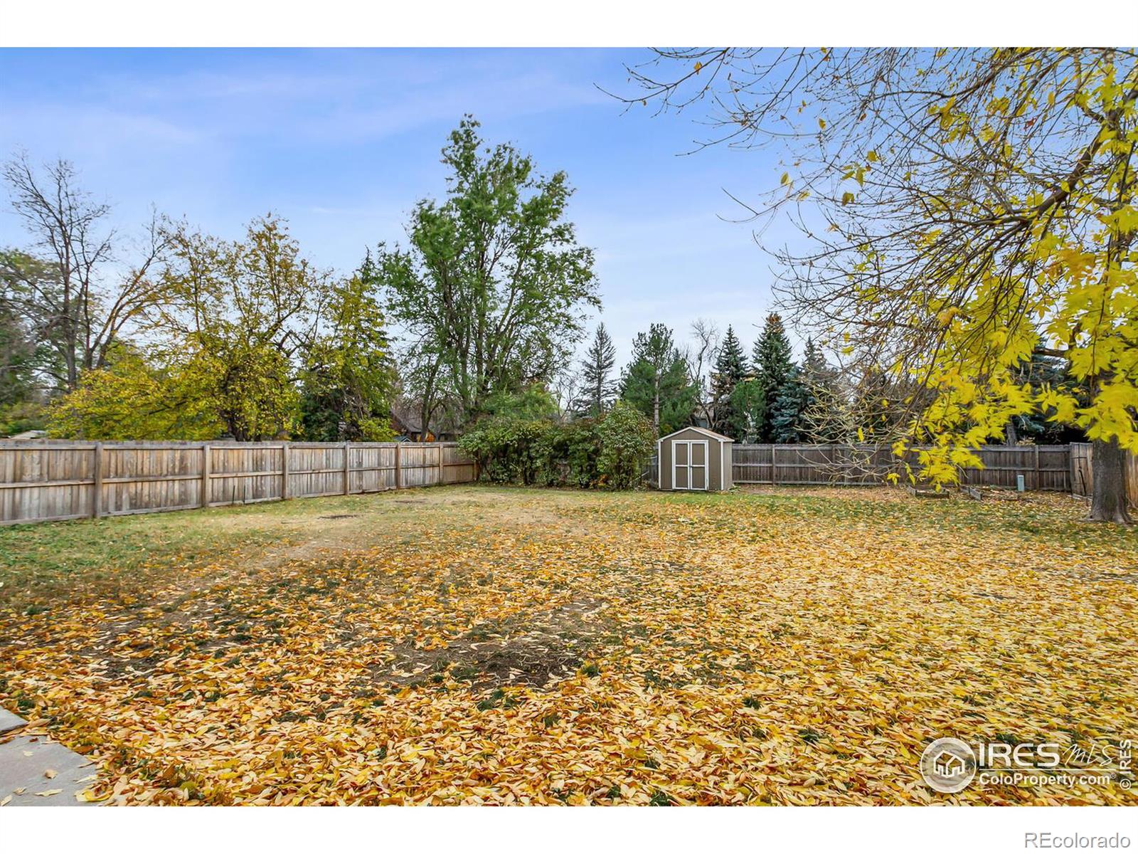 MLS Image #28 for 931  kingston drive,fort collins, Colorado