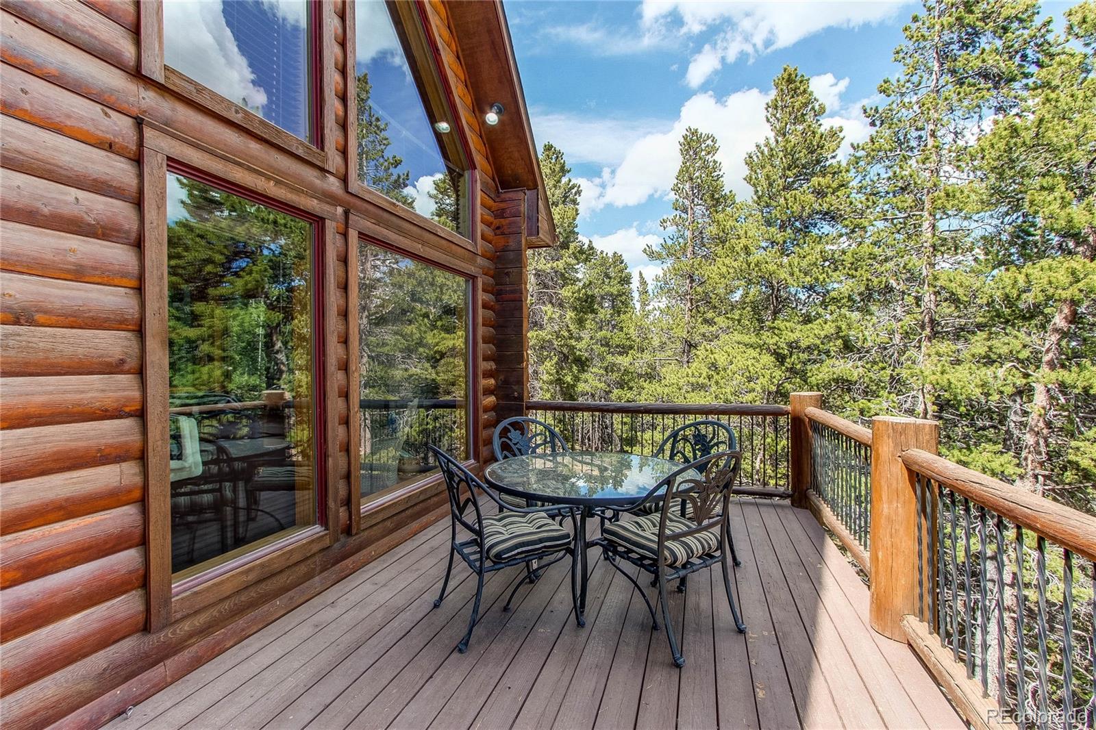 MLS Image #10 for 1428  bobcat lane,fairplay, Colorado