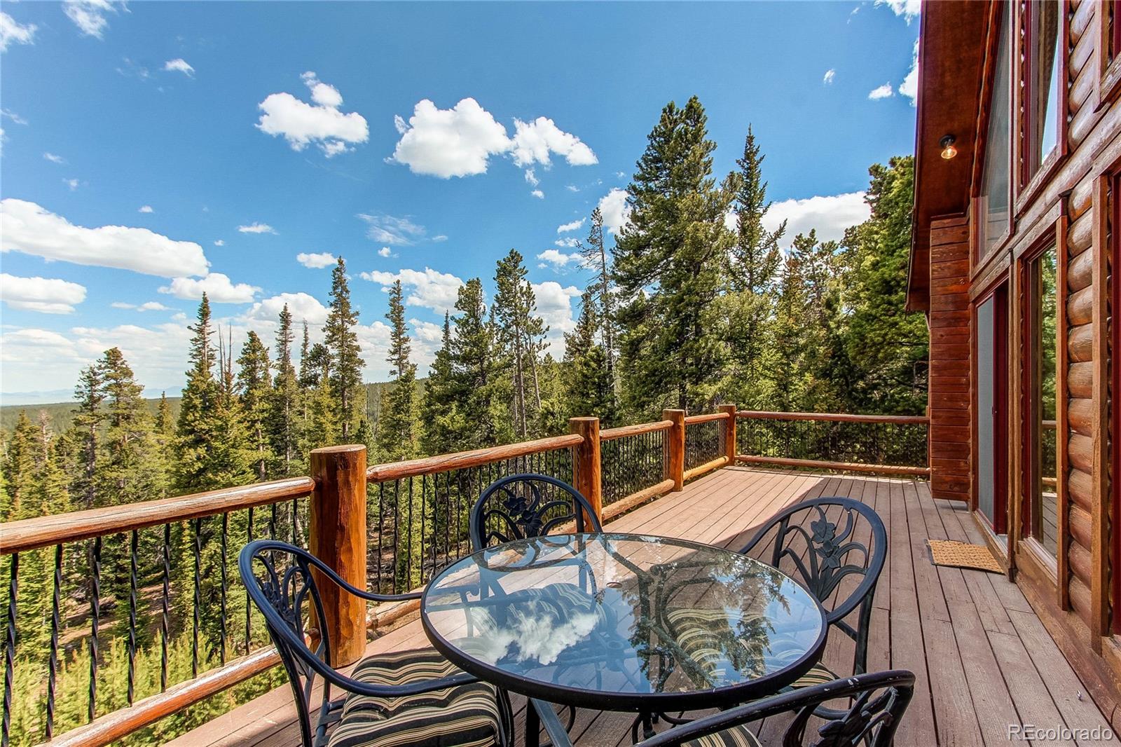 MLS Image #11 for 1428  bobcat lane,fairplay, Colorado