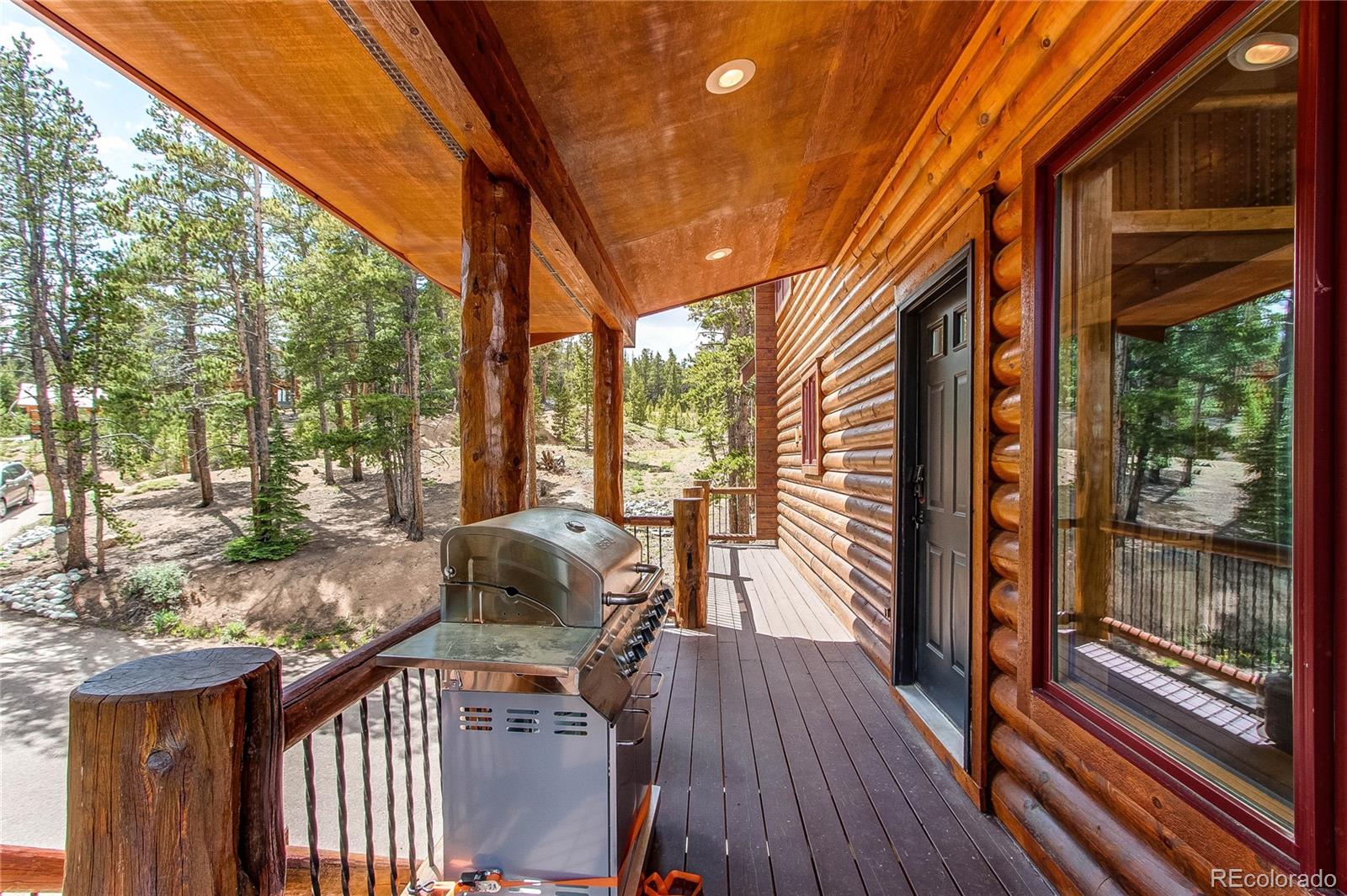 MLS Image #12 for 1428  bobcat lane,fairplay, Colorado