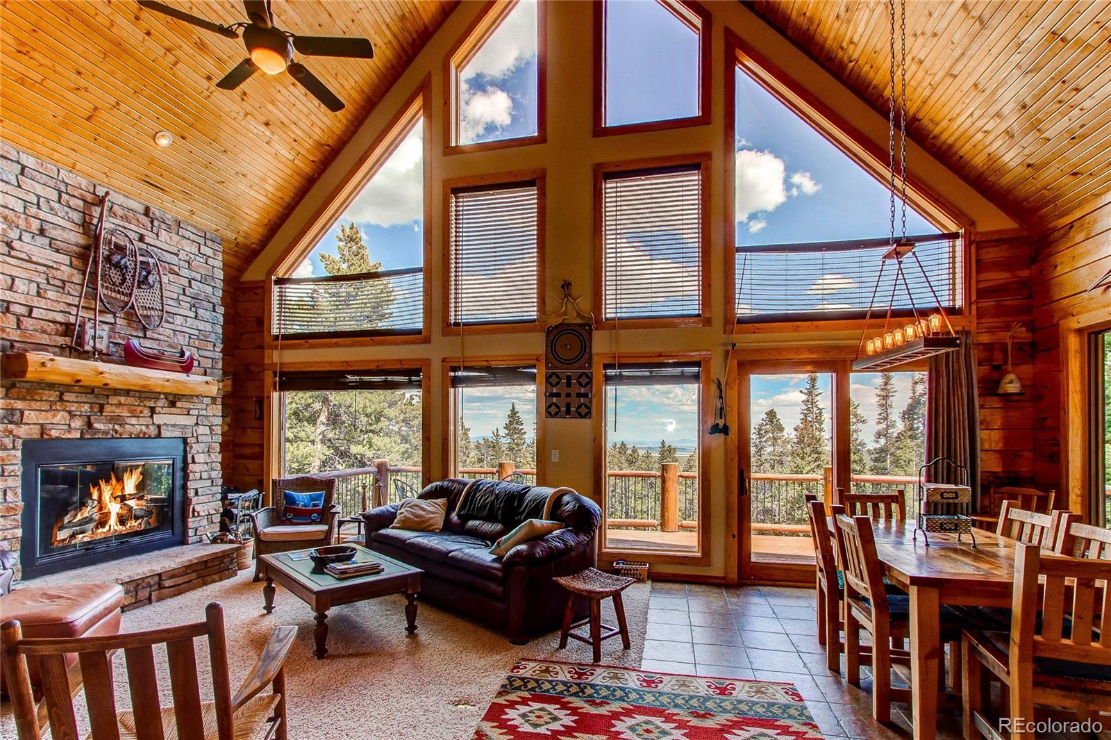 MLS Image #15 for 1428  bobcat lane,fairplay, Colorado