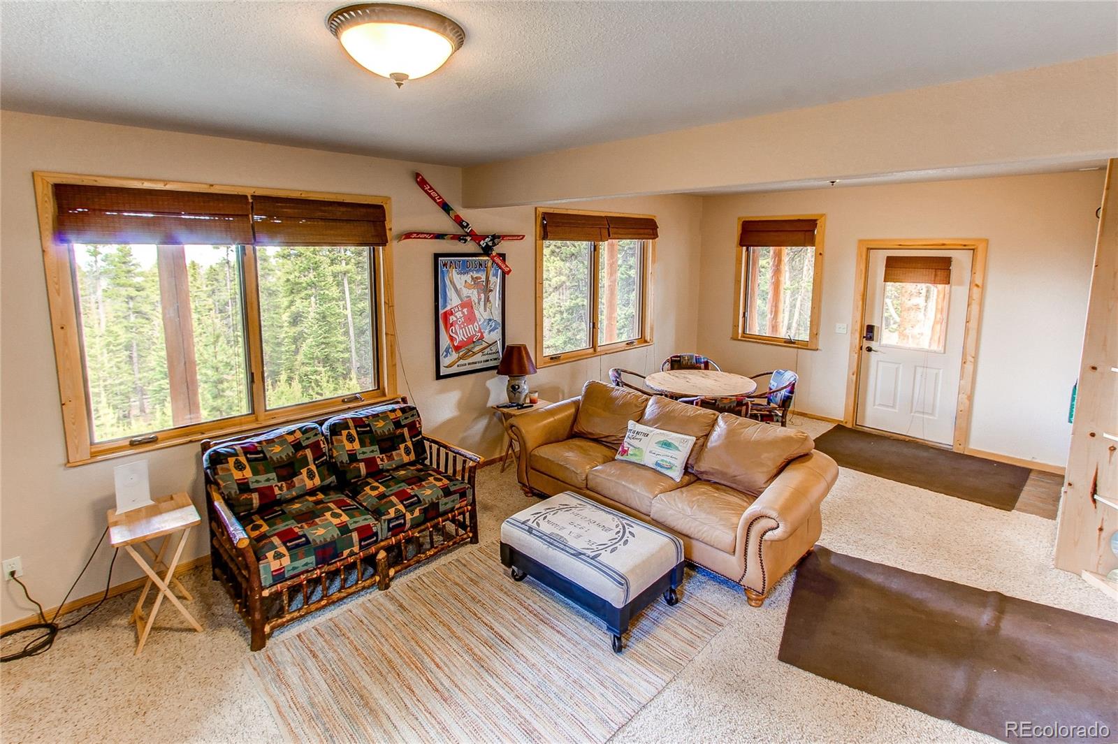 MLS Image #41 for 1428  bobcat lane,fairplay, Colorado