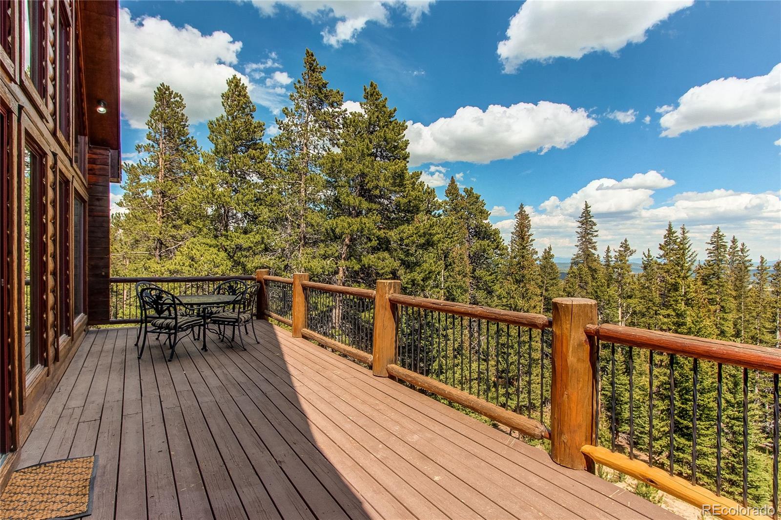 MLS Image #8 for 1428  bobcat lane,fairplay, Colorado