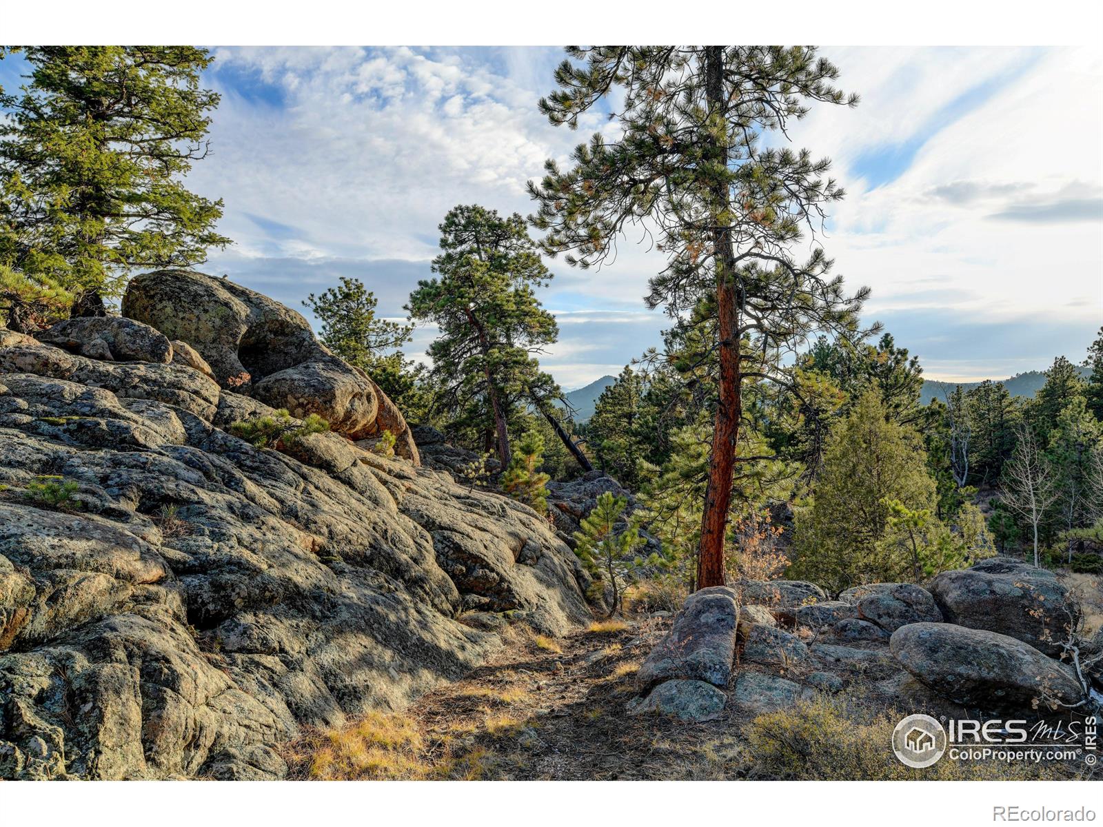 MLS Image #31 for 86  sky kiva circle,red feather lakes, Colorado