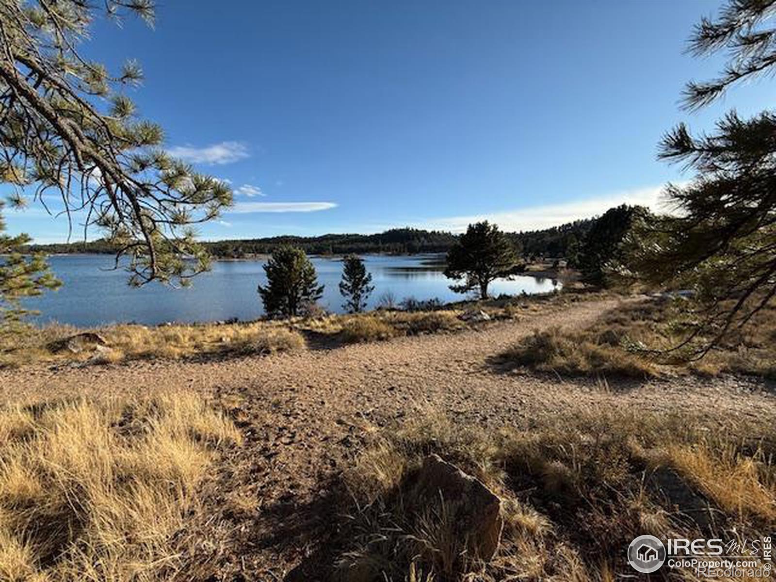 MLS Image #37 for 86  sky kiva circle,red feather lakes, Colorado