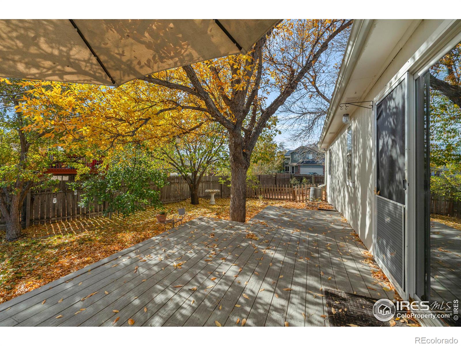 MLS Image #26 for 801  coulter street,fort collins, Colorado