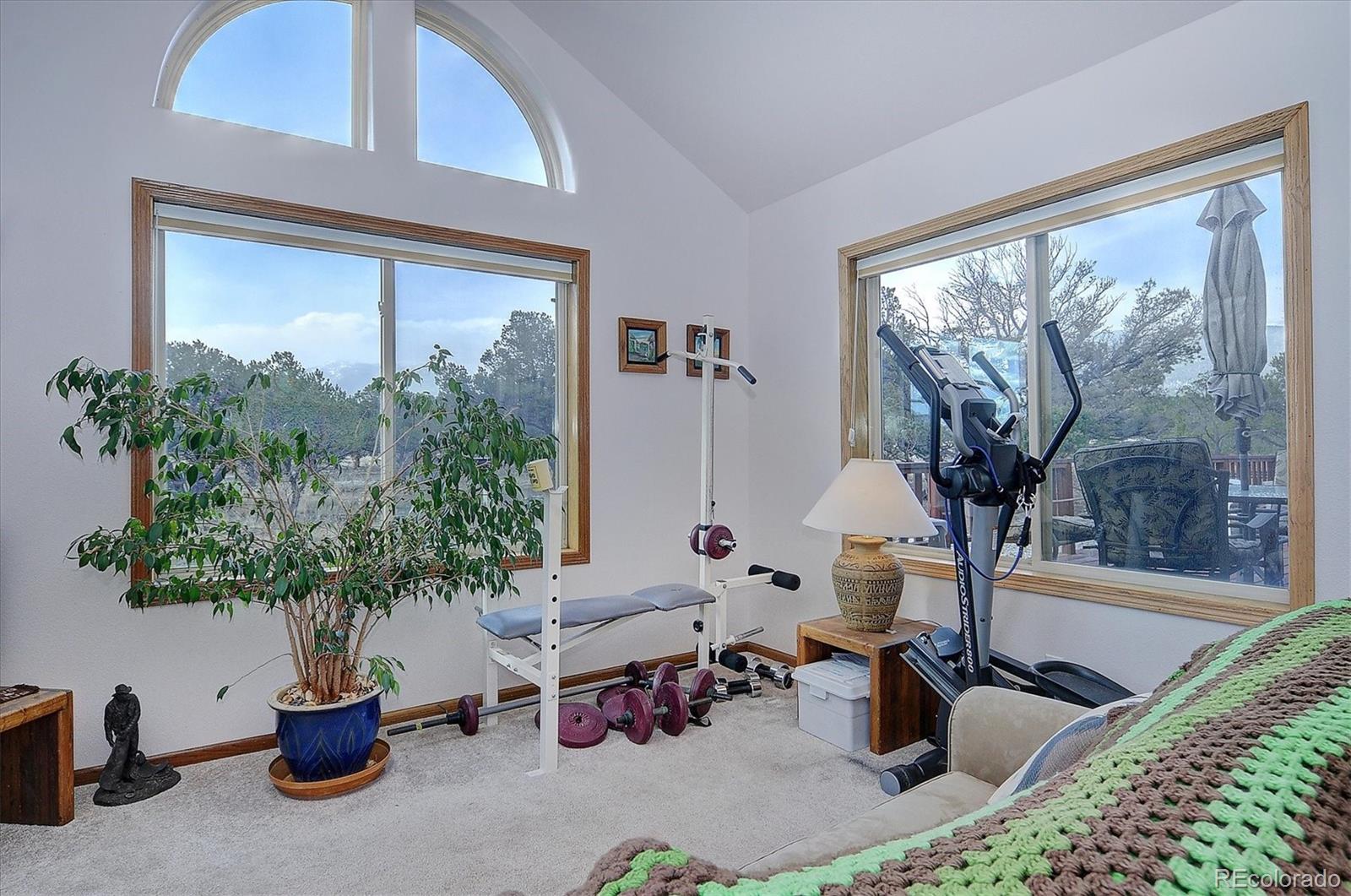 MLS Image #14 for 33563  mt harvard circle,buena vista, Colorado