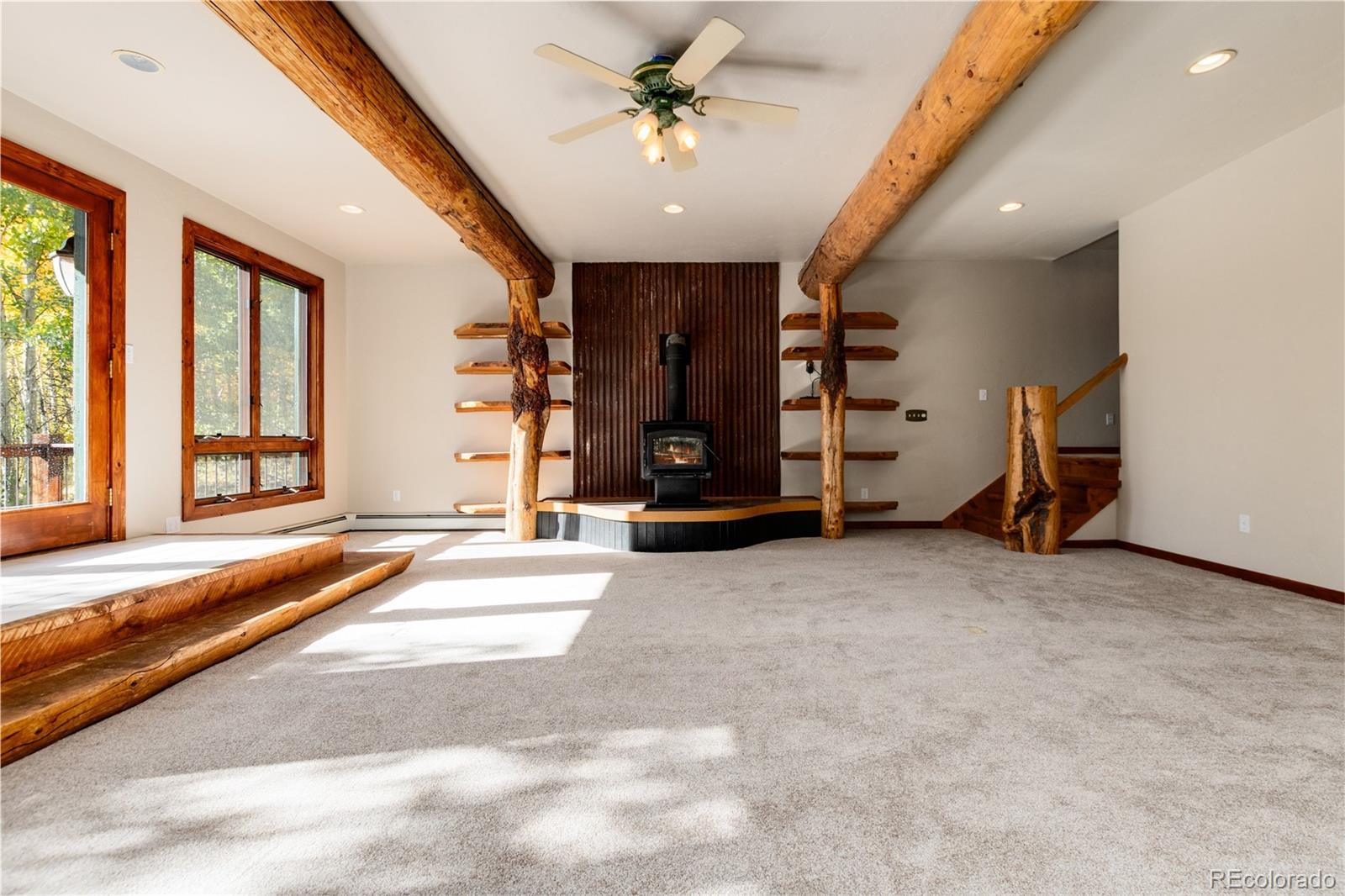 MLS Image #10 for 1165  empire valley drive,leadville, Colorado
