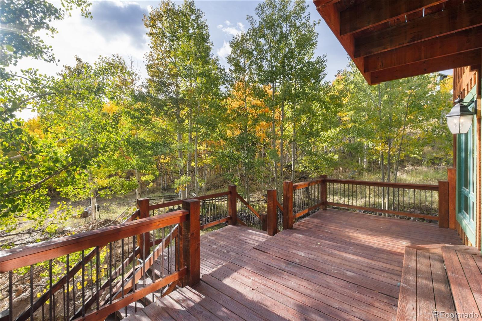 MLS Image #11 for 1165  empire valley drive,leadville, Colorado