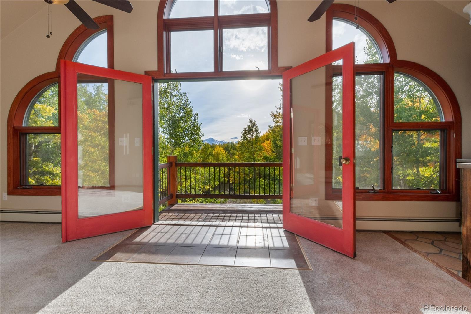 MLS Image #19 for 1165  empire valley drive,leadville, Colorado