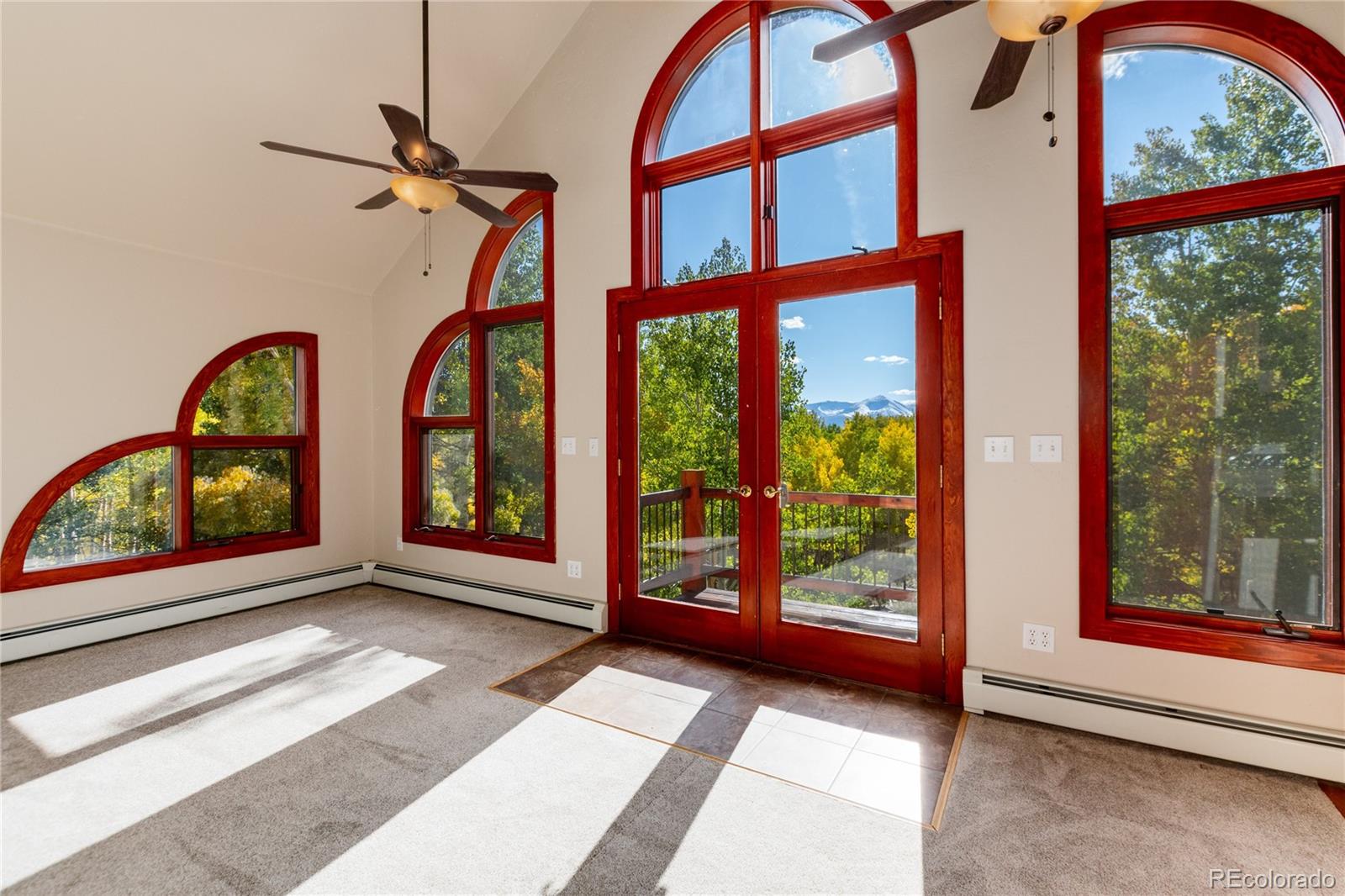 MLS Image #21 for 1165  empire valley drive,leadville, Colorado