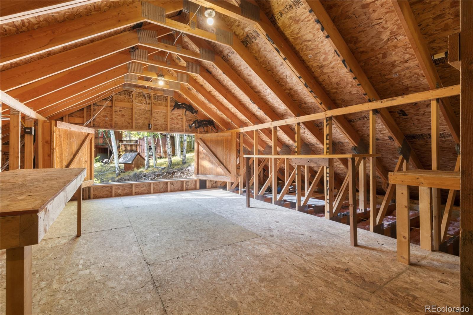 MLS Image #28 for 1165  empire valley drive,leadville, Colorado