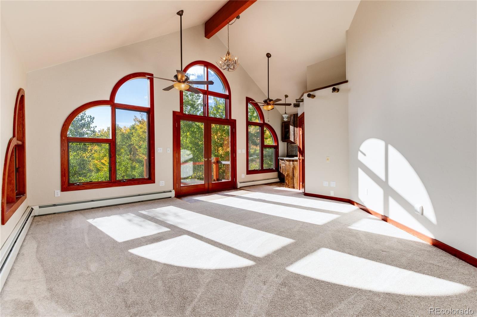 MLS Image #3 for 1165  empire valley drive,leadville, Colorado