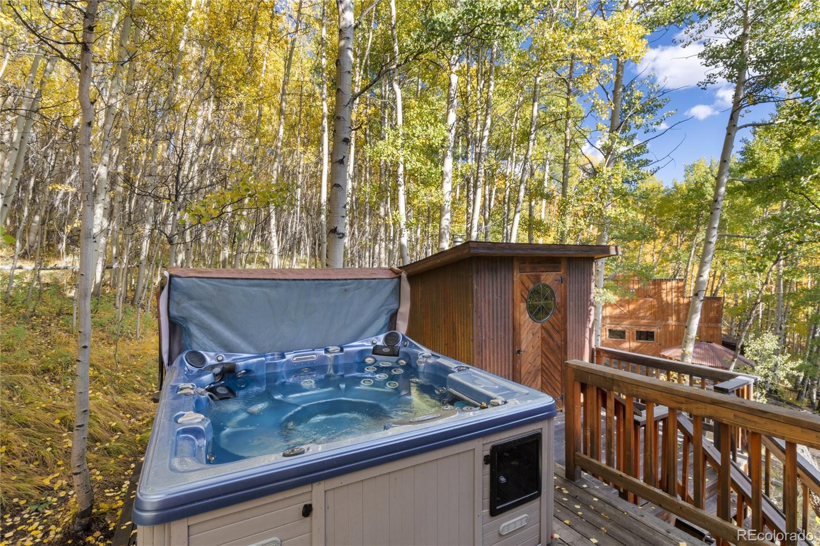 MLS Image #32 for 1165  empire valley drive,leadville, Colorado