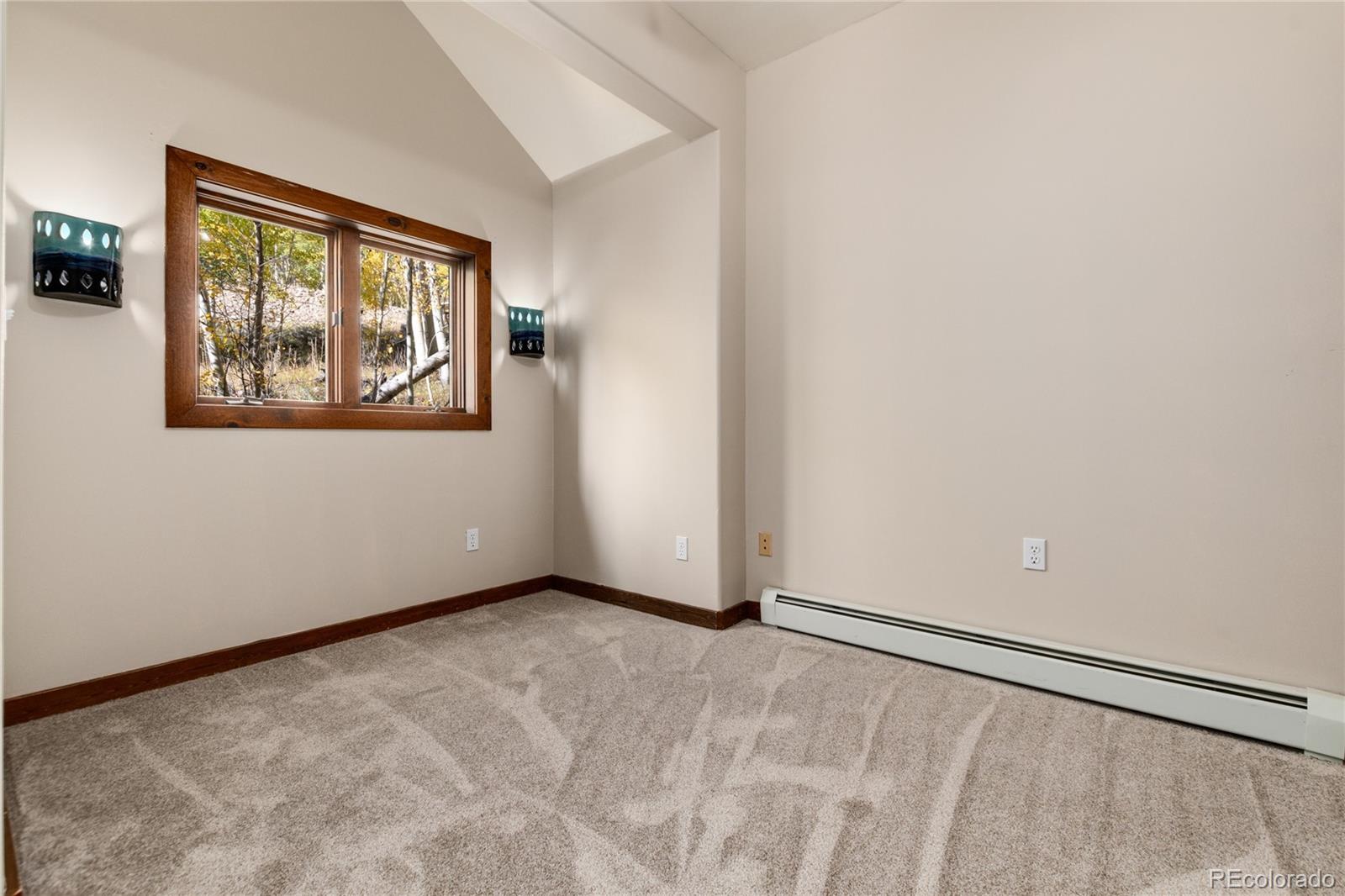 MLS Image #37 for 1165  empire valley drive,leadville, Colorado