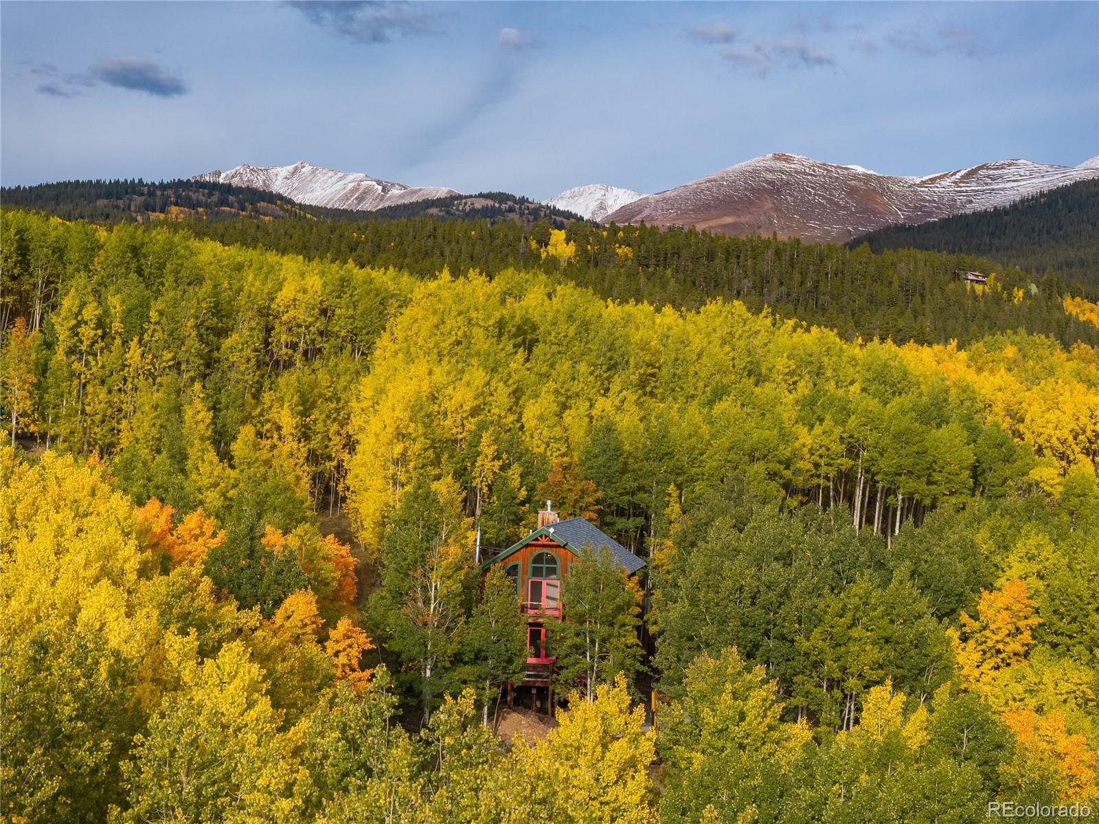 MLS Image #48 for 1165  empire valley drive,leadville, Colorado