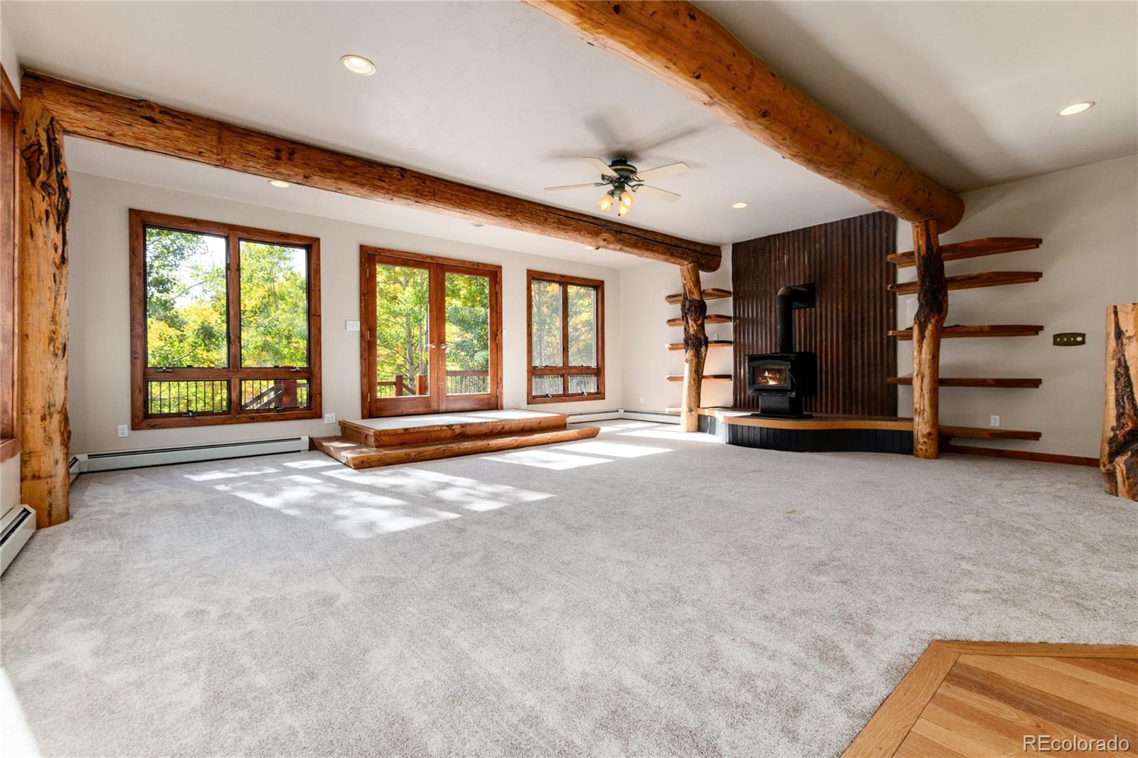 MLS Image #7 for 1165  empire valley drive,leadville, Colorado
