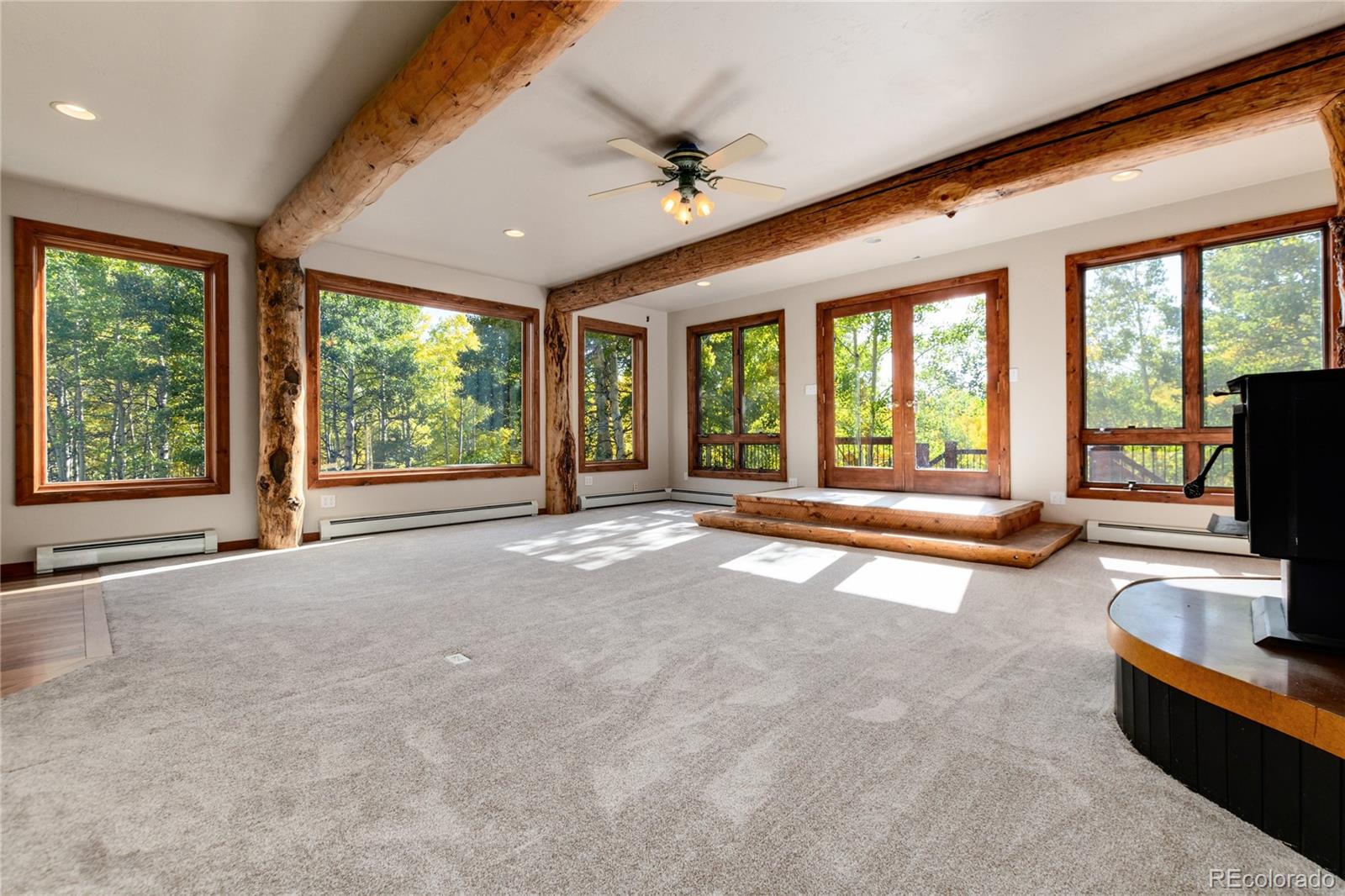 MLS Image #8 for 1165  empire valley drive,leadville, Colorado