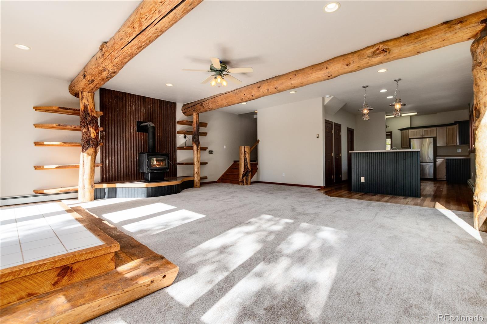 MLS Image #9 for 1165  empire valley drive,leadville, Colorado