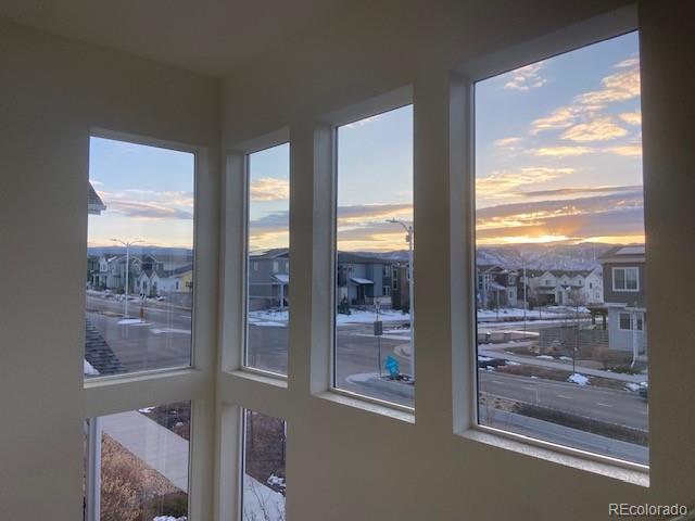 MLS Image #17 for 8984  eagle river street,littleton, Colorado