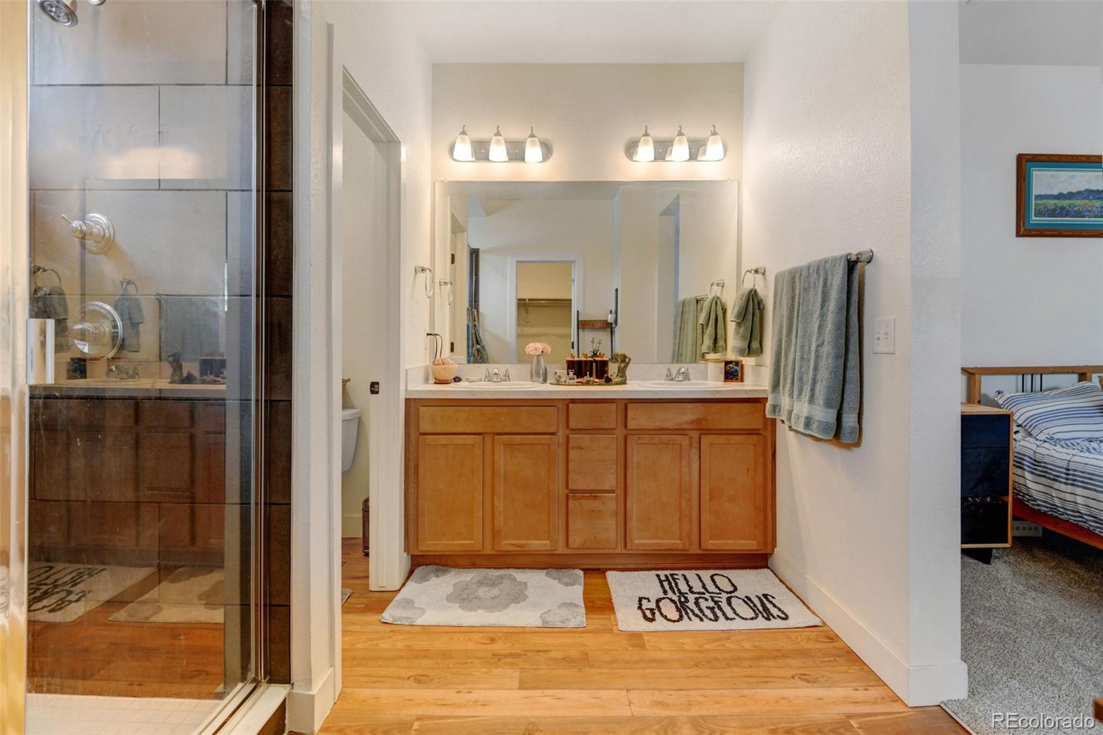 MLS Image #25 for 8984  eagle river street,littleton, Colorado