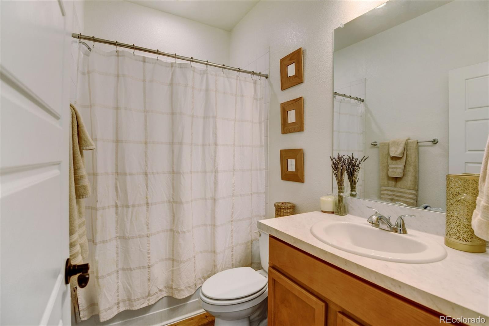 MLS Image #30 for 8984  eagle river street,littleton, Colorado