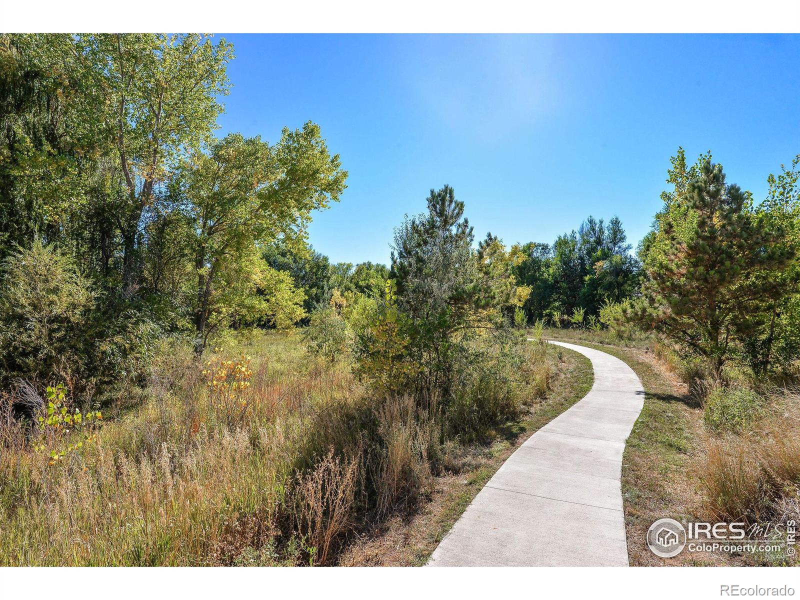 MLS Image #31 for 1221 e prospect road,fort collins, Colorado