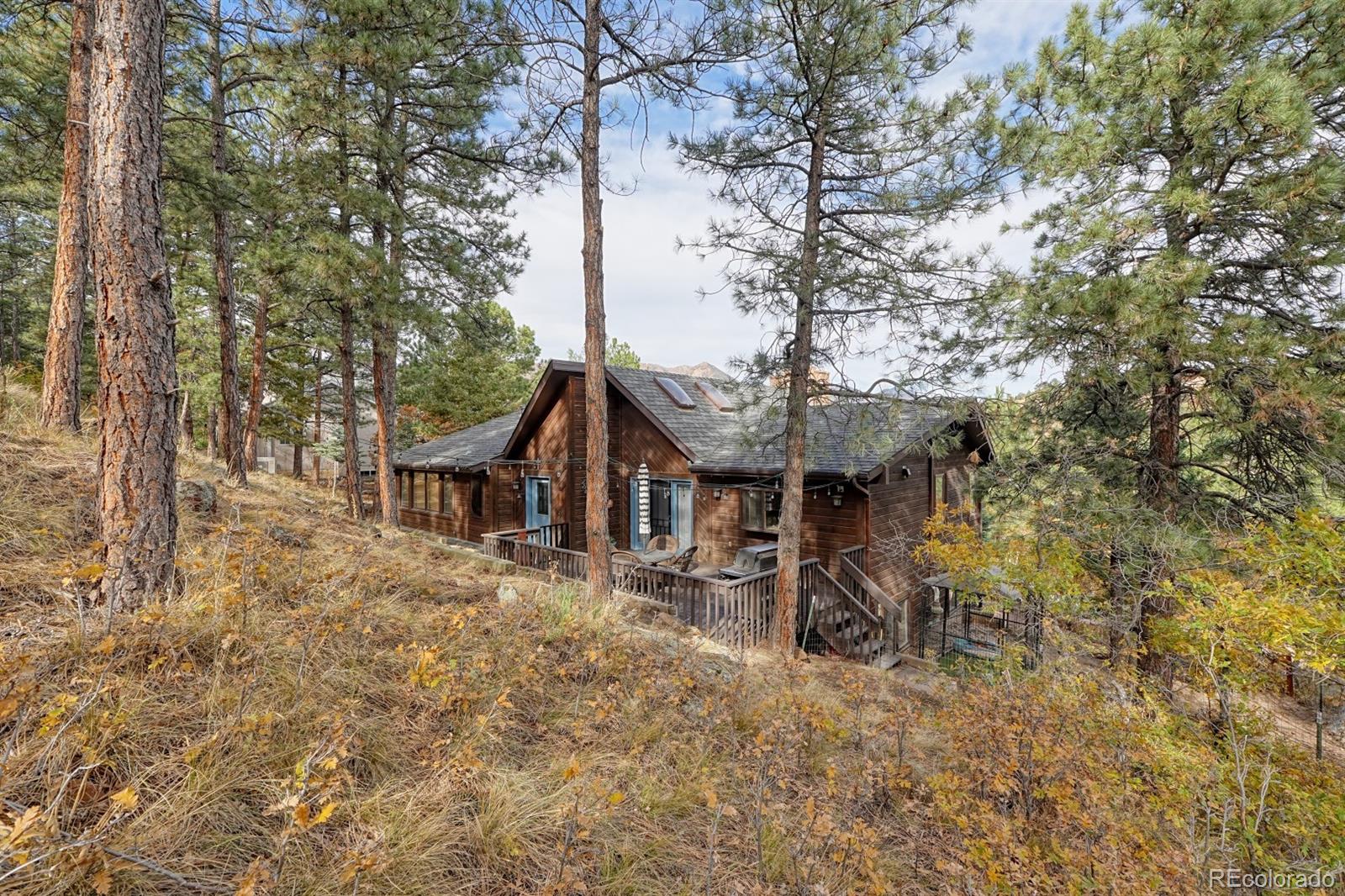 MLS Image #3 for 1325  northface court,colorado springs, Colorado