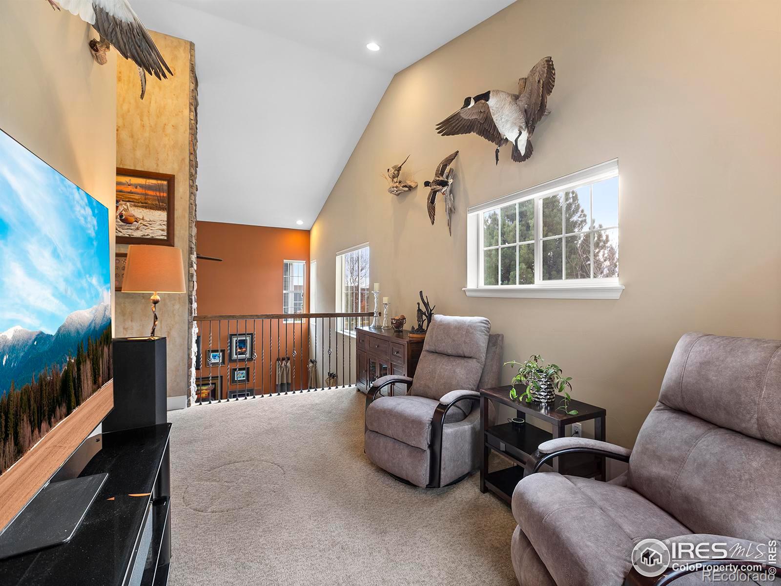 MLS Image #23 for 519  newton drive,loveland, Colorado