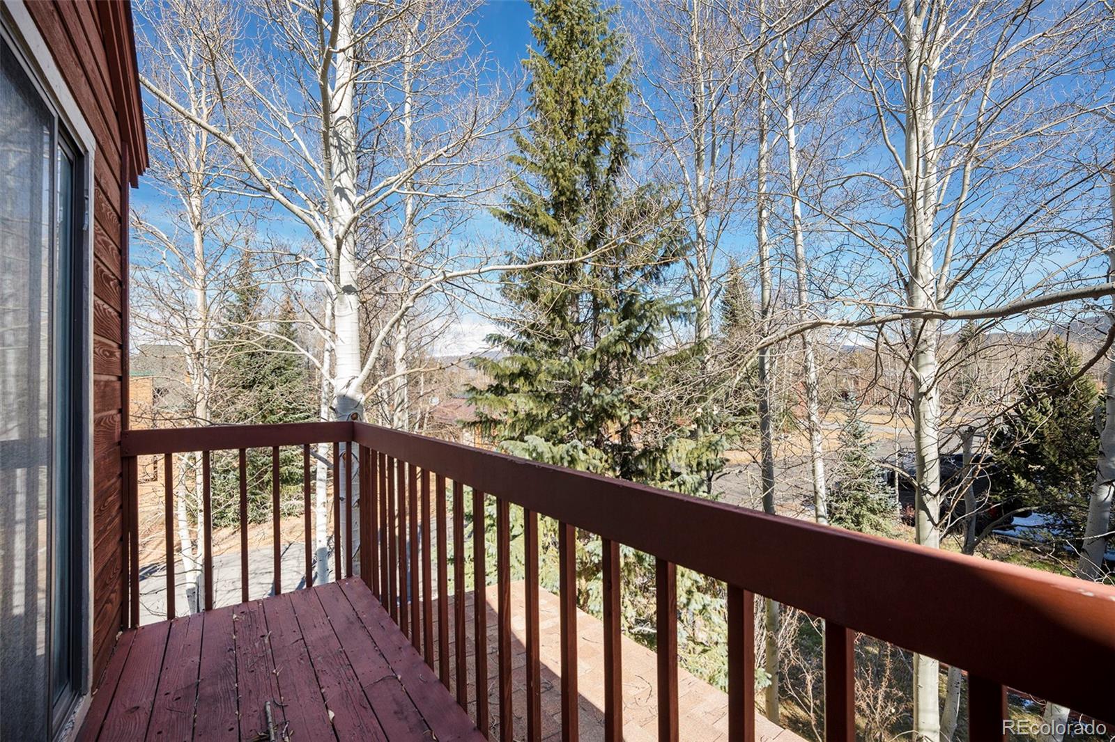 MLS Image #18 for 740 s 5th avenue,frisco, Colorado