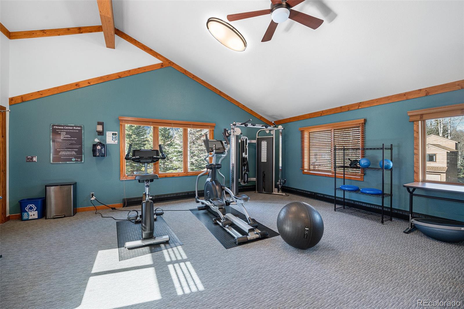 MLS Image #22 for 740 s 5th avenue,frisco, Colorado