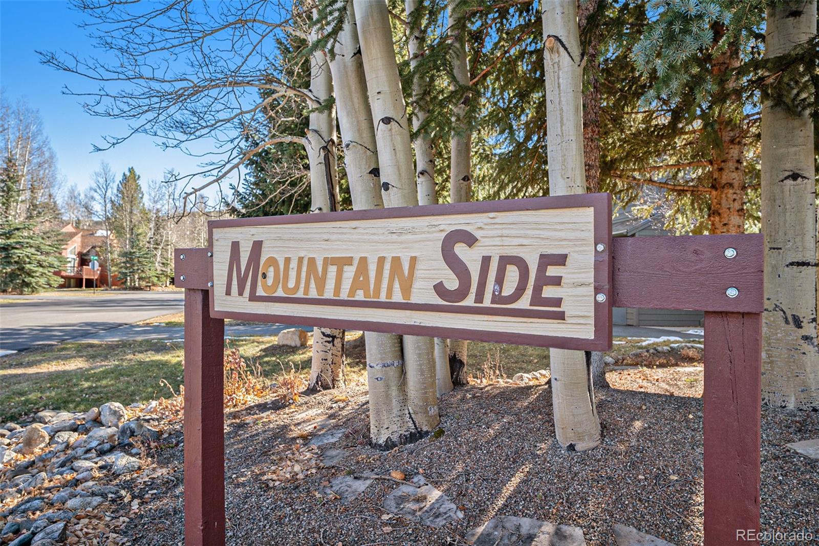 MLS Image #30 for 740 s 5th avenue,frisco, Colorado