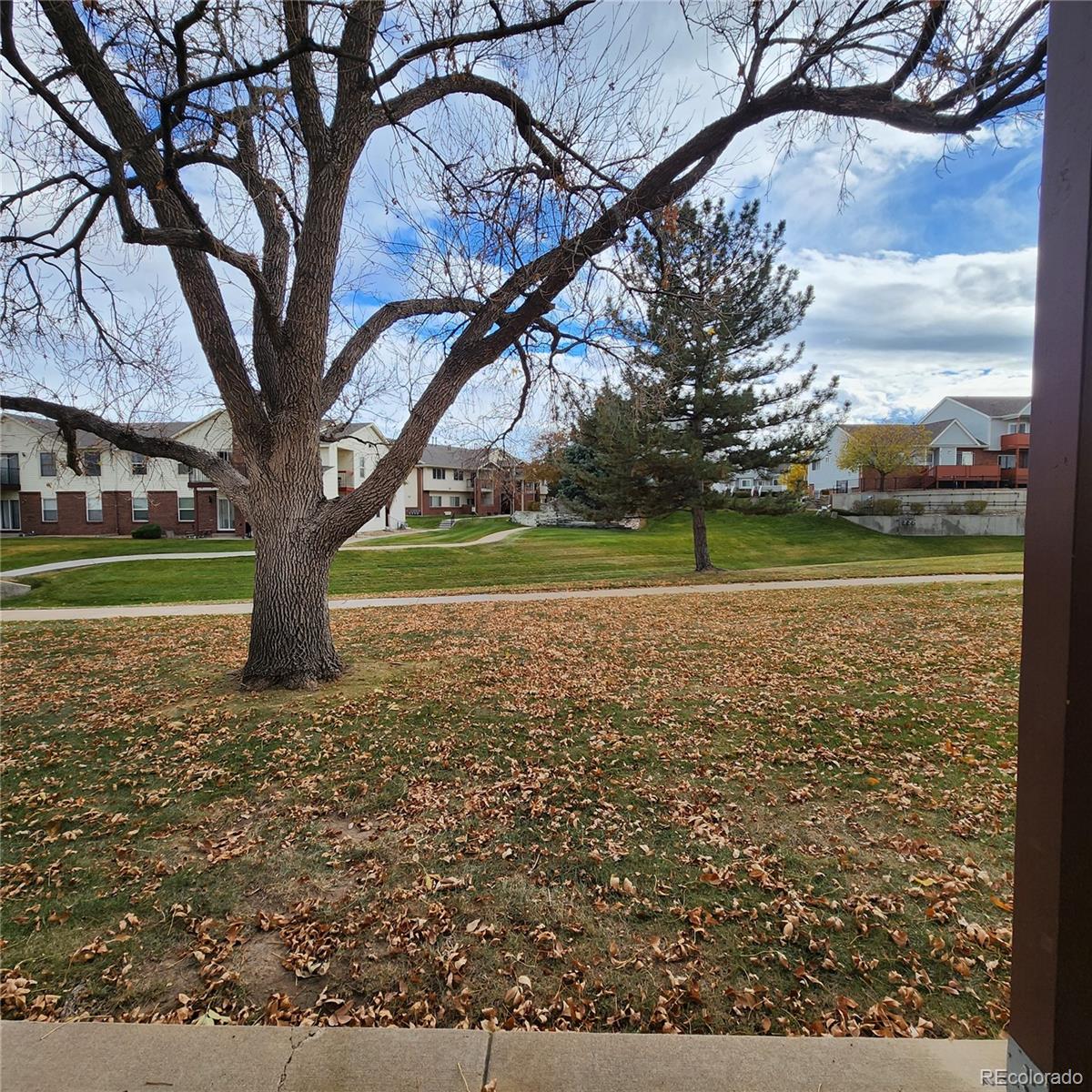 MLS Image #10 for 11942  bellaire street,thornton, Colorado