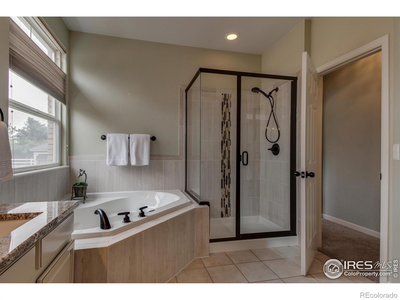 MLS Image #18 for 210  grand view circle,mead, Colorado