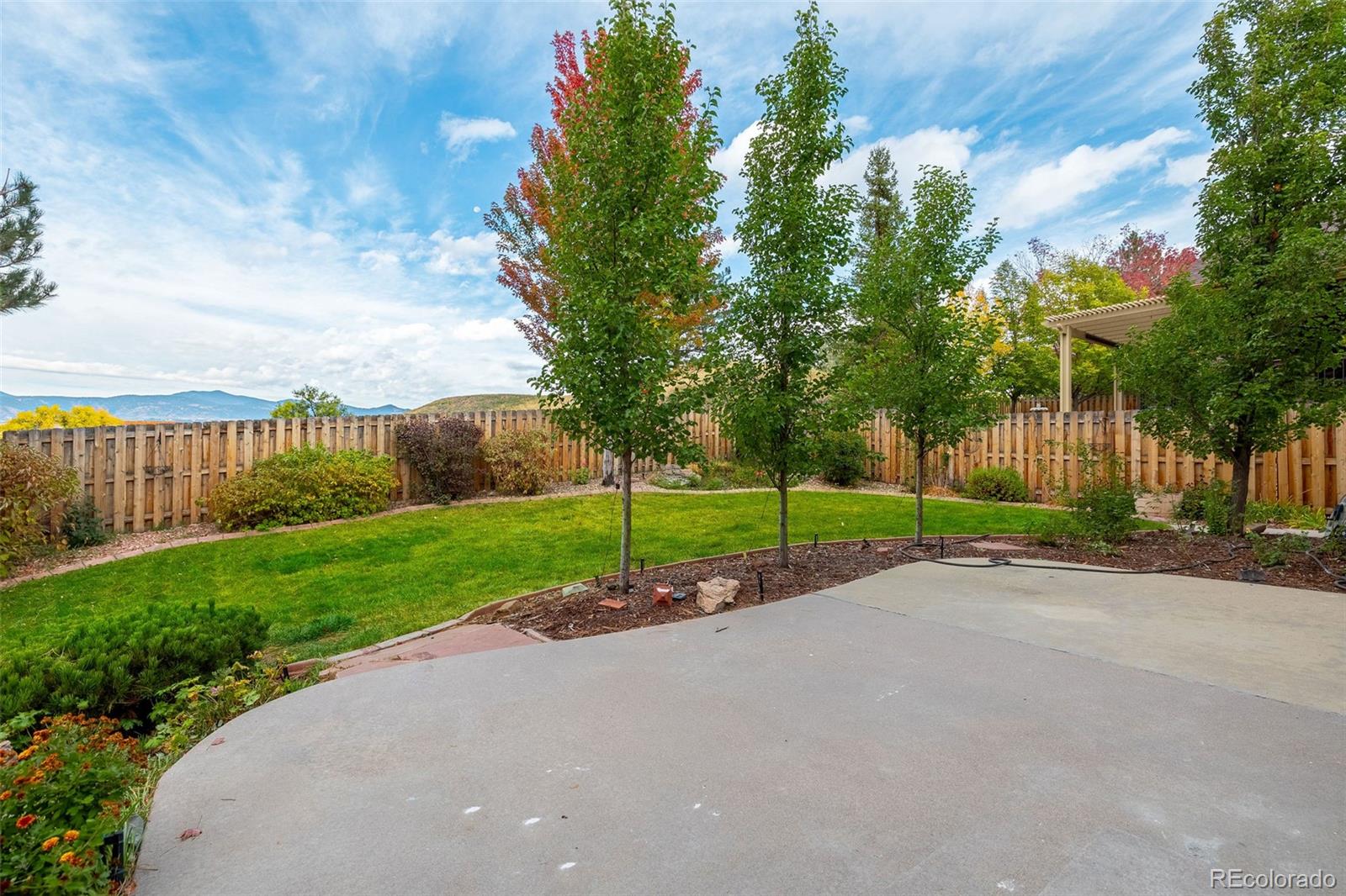 MLS Image #31 for 7009  torrey street,arvada, Colorado