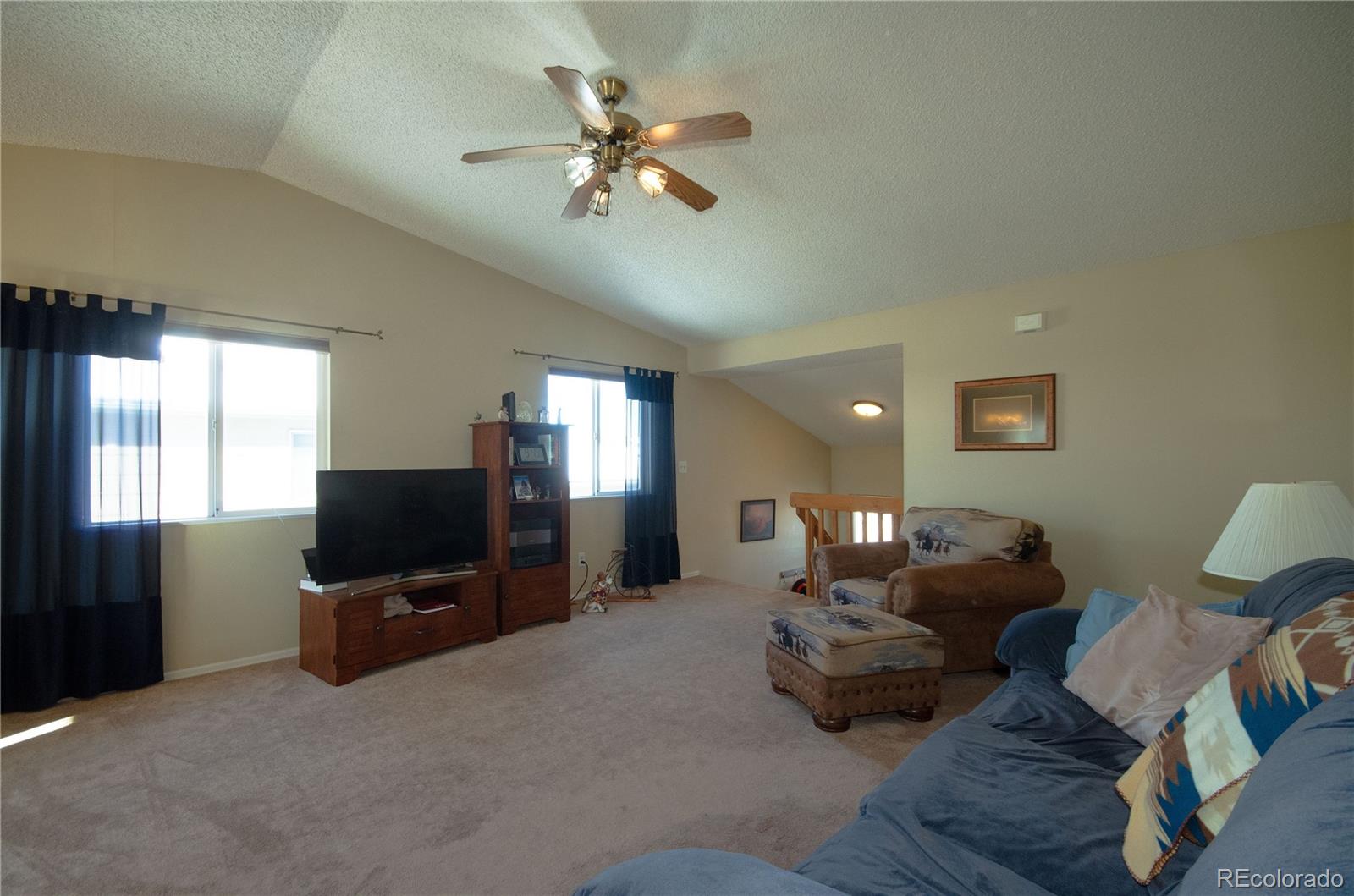 MLS Image #10 for 4658  witches hollow lane,colorado springs, Colorado