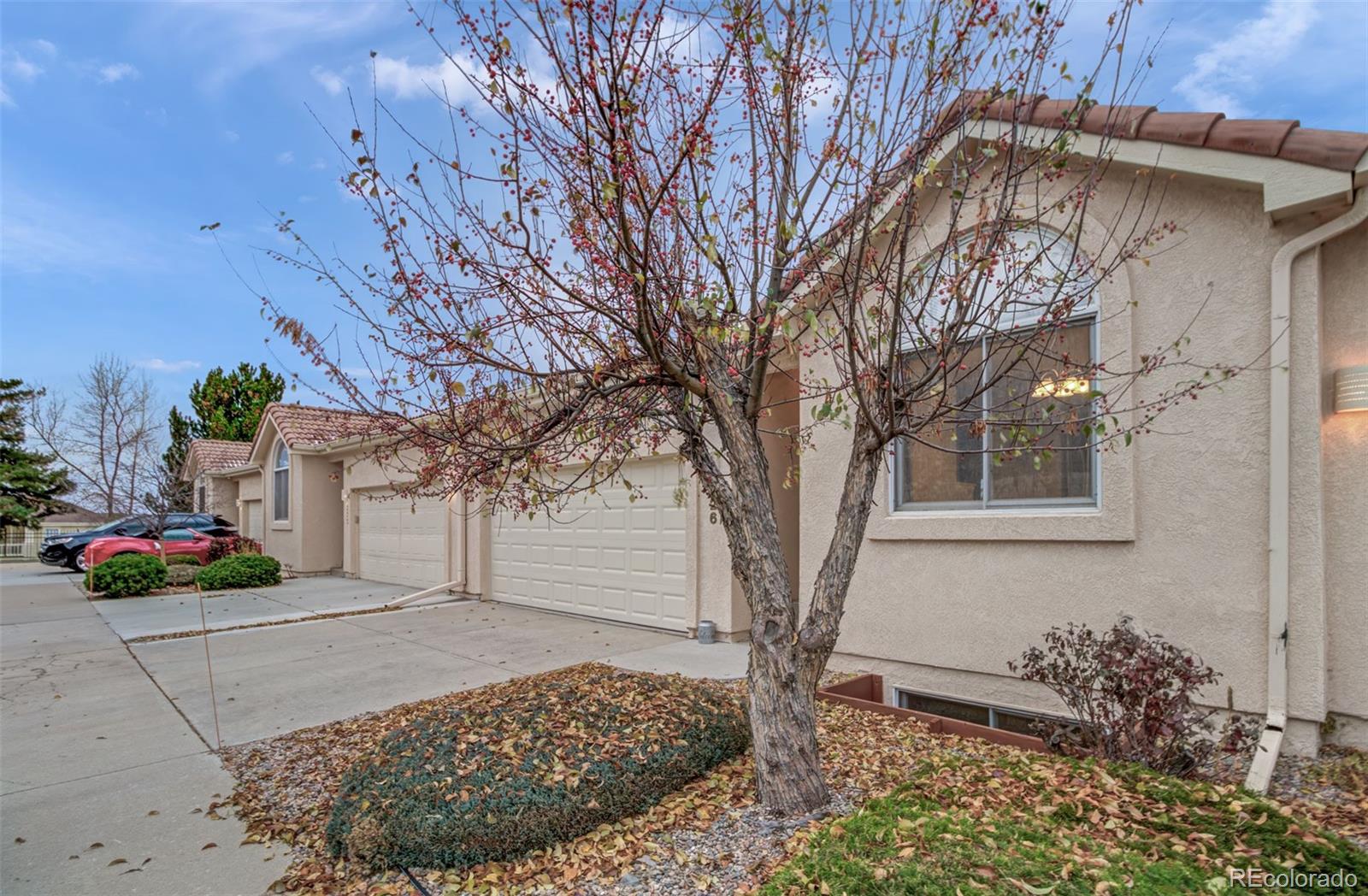 Report Image for 226  Luxury Lane,Colorado Springs, Colorado