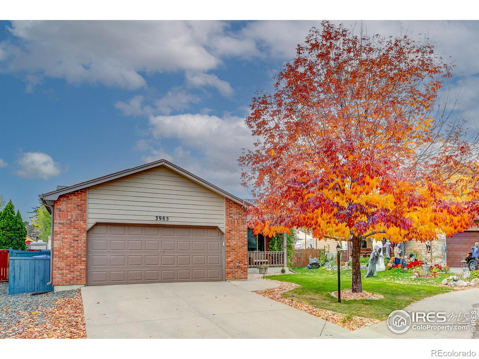 MLS Image #2 for 3985  willowood avenue,loveland, Colorado