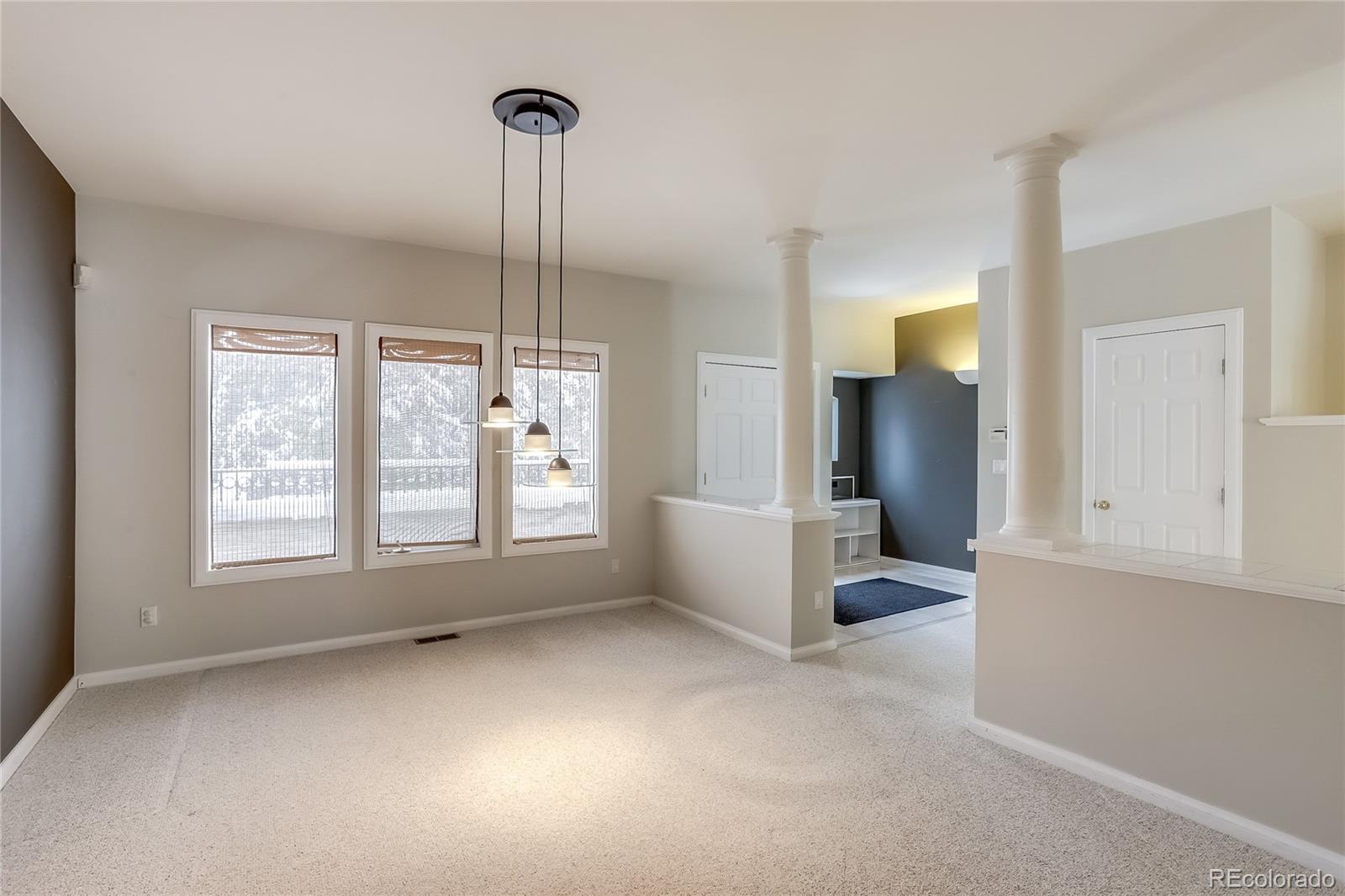 MLS Image #9 for 391 n ogden street,denver, Colorado