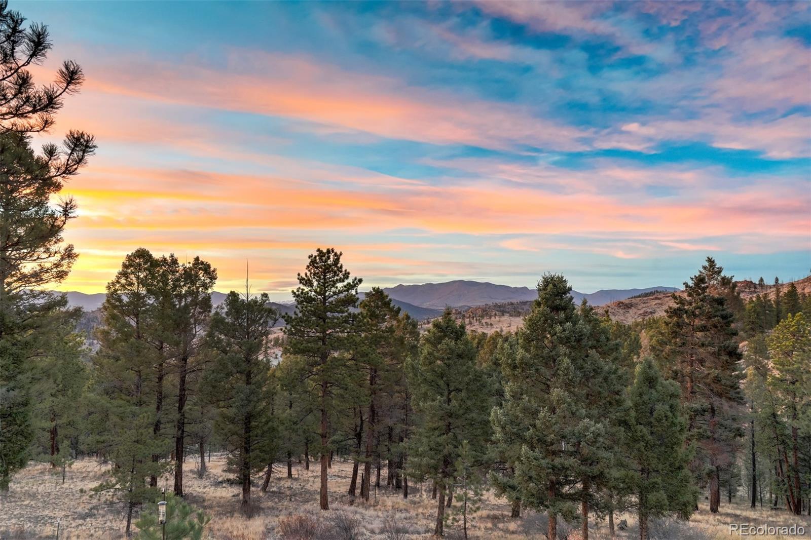 MLS Image #20 for 489  trail creek road,lake george, Colorado