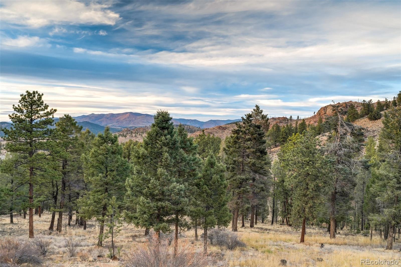 MLS Image #21 for 489  trail creek road,lake george, Colorado