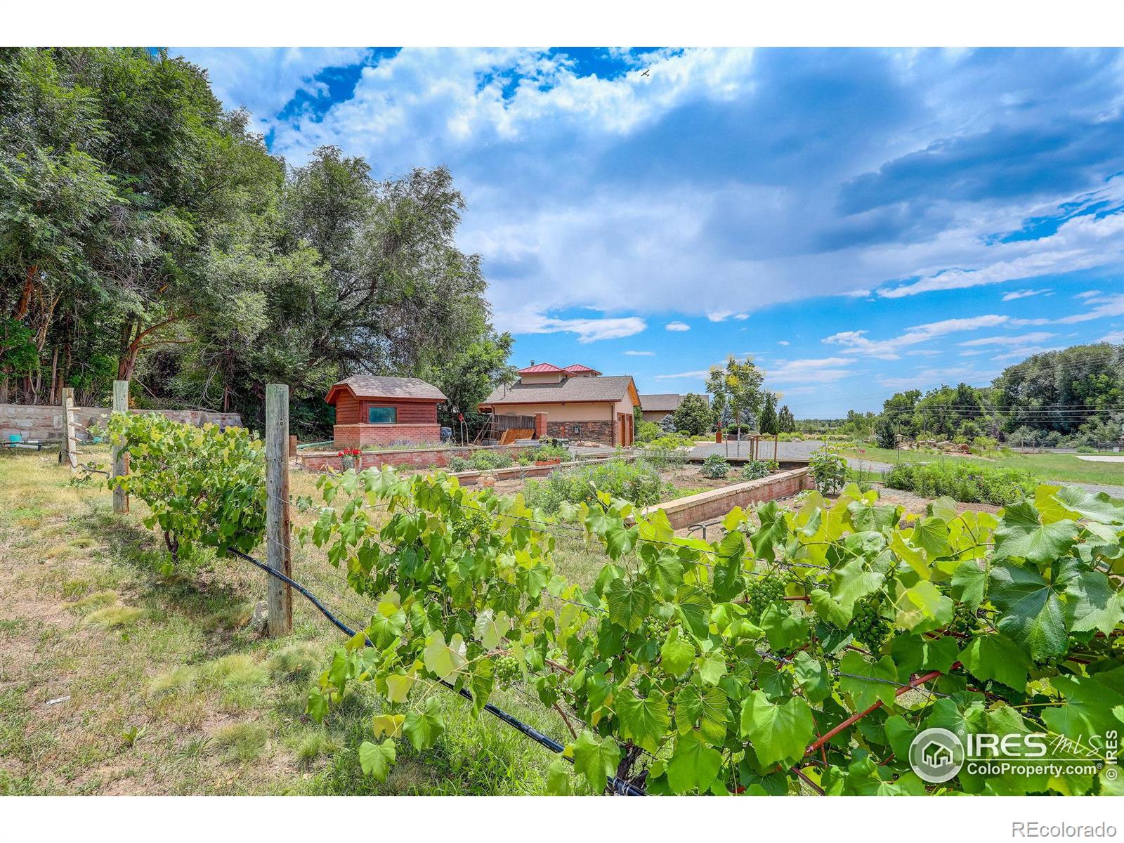 MLS Image #28 for 1919  3rd avenue,longmont, Colorado
