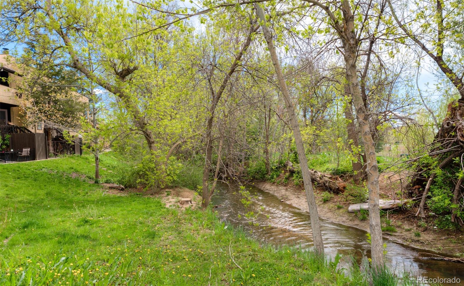 MLS Image #32 for 2972  shady hollow,boulder, Colorado