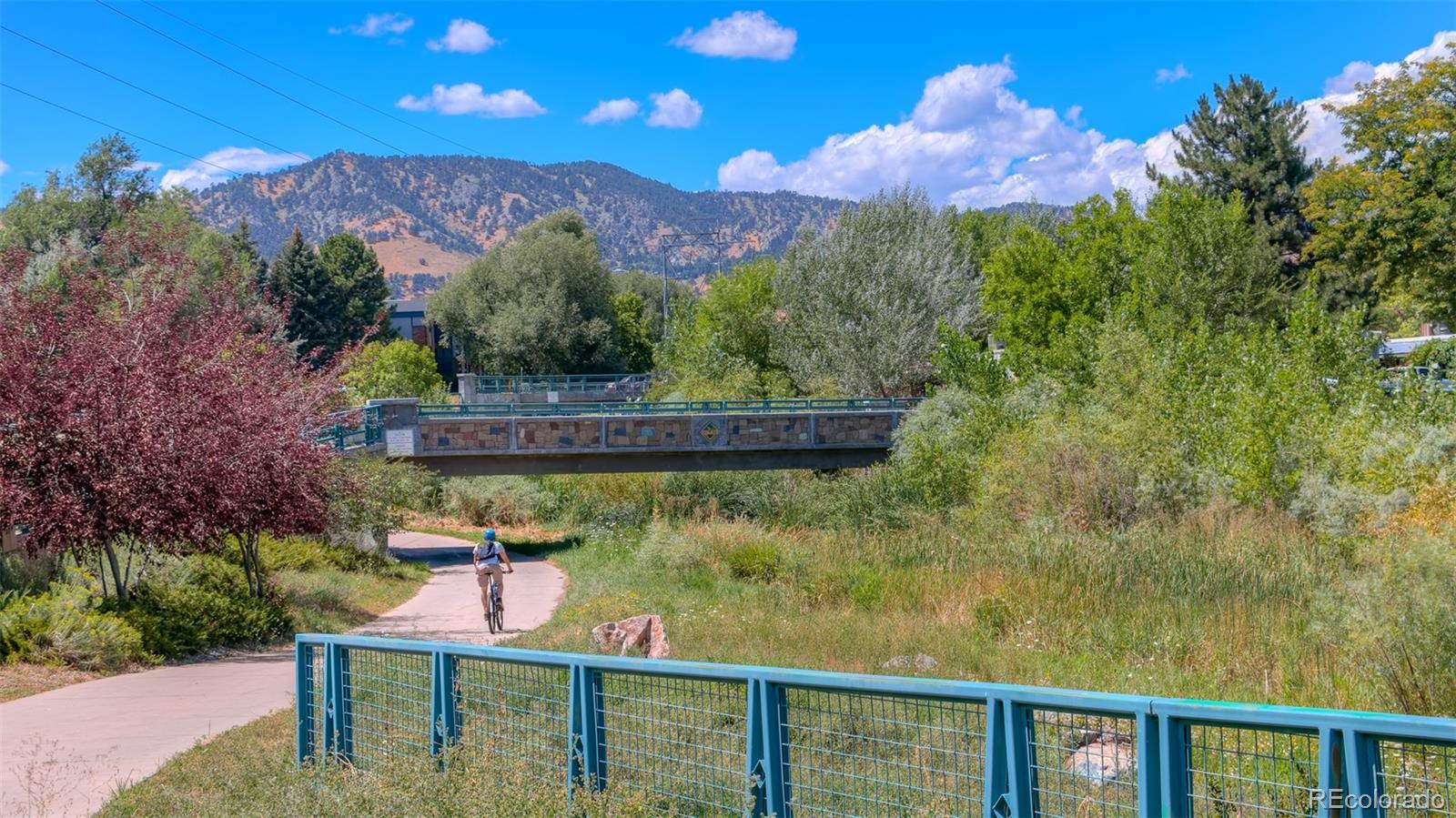 MLS Image #34 for 2972  shady hollow,boulder, Colorado