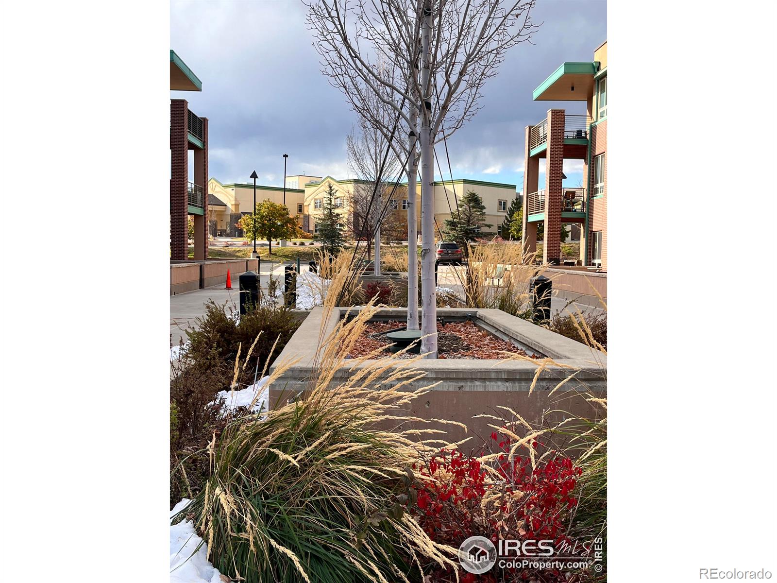 MLS Image #15 for 1057 w century drive,louisville, Colorado