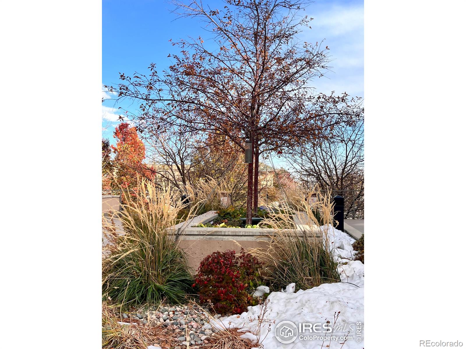 MLS Image #28 for 1057 w century drive,louisville, Colorado