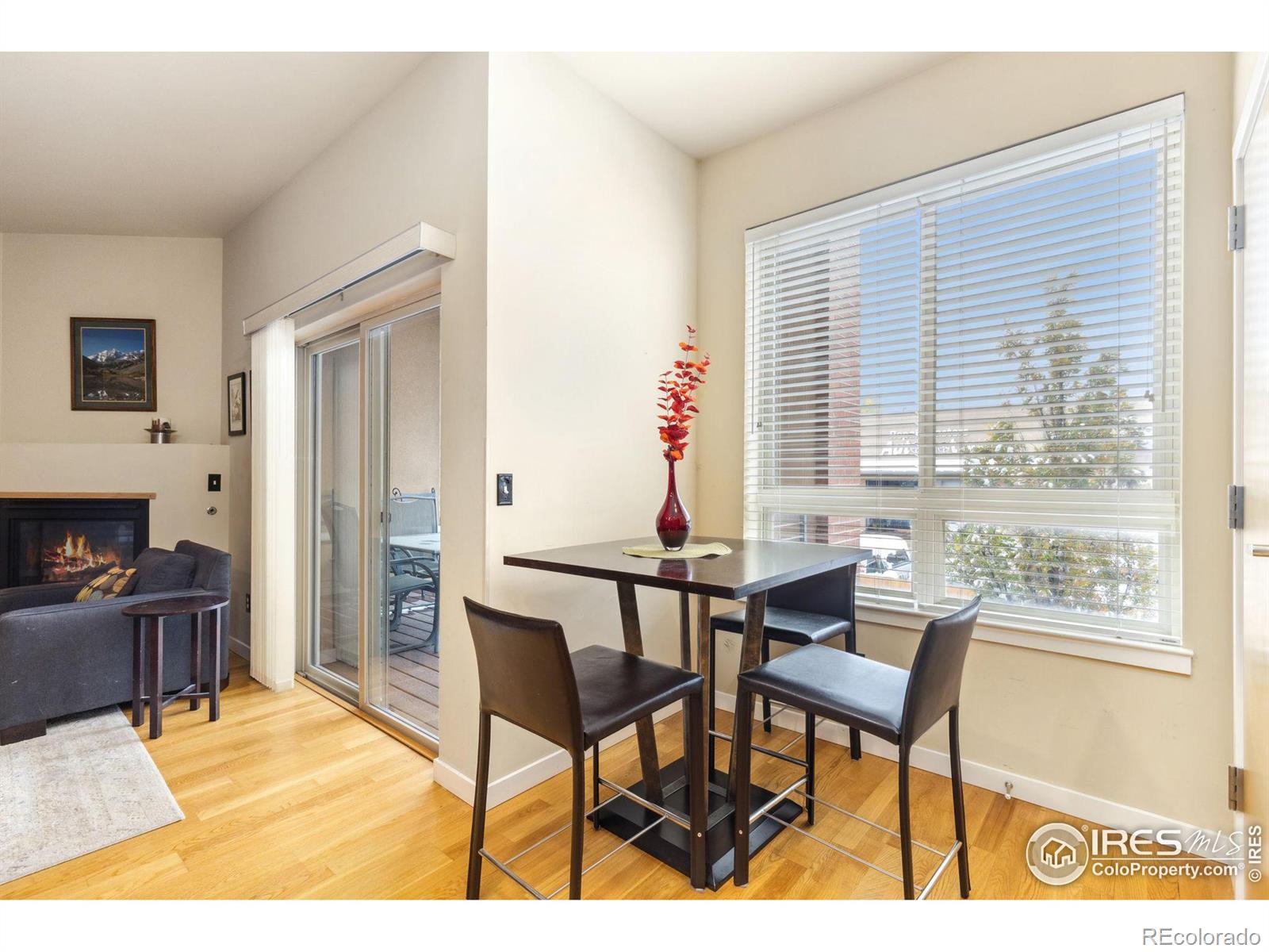 MLS Image #8 for 1057 w century drive,louisville, Colorado