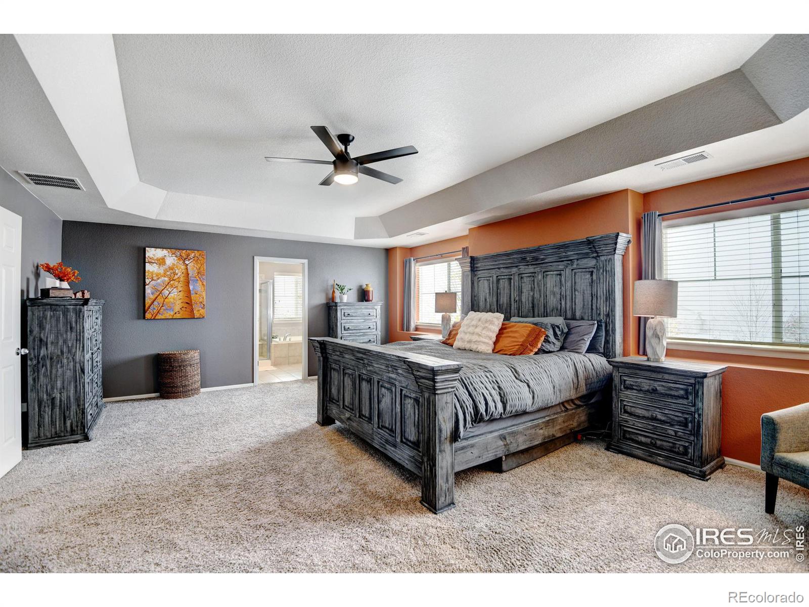 MLS Image #16 for 10052  briarwood street,firestone, Colorado