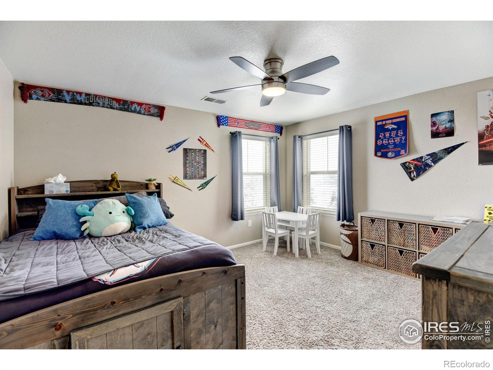 MLS Image #21 for 10052  briarwood street,firestone, Colorado